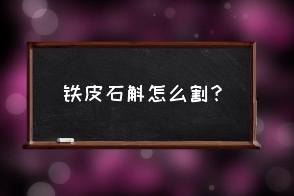 盆栽的铁皮石斛怎么采摘 铁皮石斛怎么割？