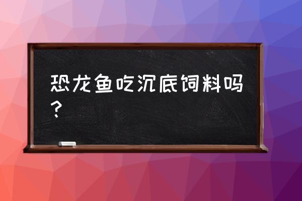 恐龙鱼喂鱼饲料吃吗 恐龙鱼吃沉底饲料吗？