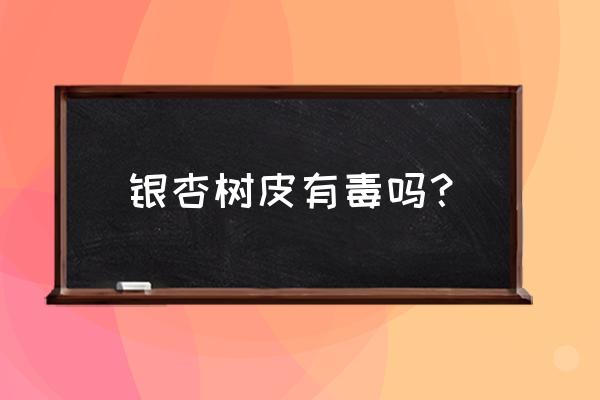 白果树皮有什么功效 银杏树皮有毒吗？