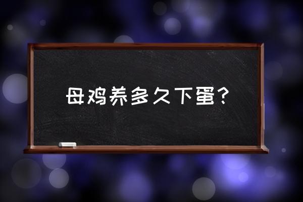 一般自己养鸡多久能下蛋 母鸡养多久下蛋？