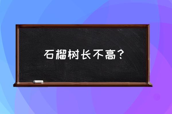 石榴树苗一年能长多少高 石榴树长不高？