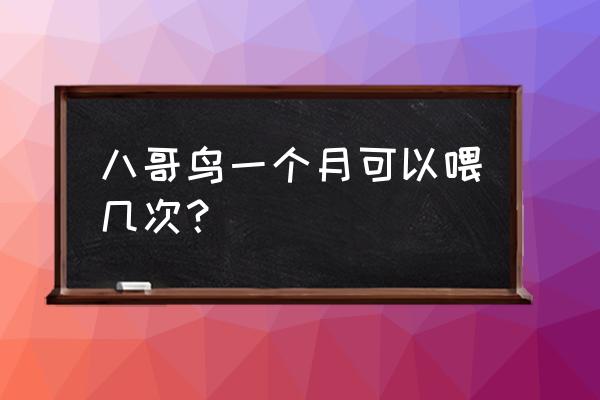 一般幼鸟八哥一天喂几次饲料 八哥鸟一个月可以喂几次？