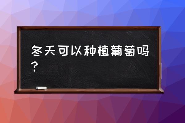 葡萄树苗冬天能活吗 冬天可以种植葡萄吗？