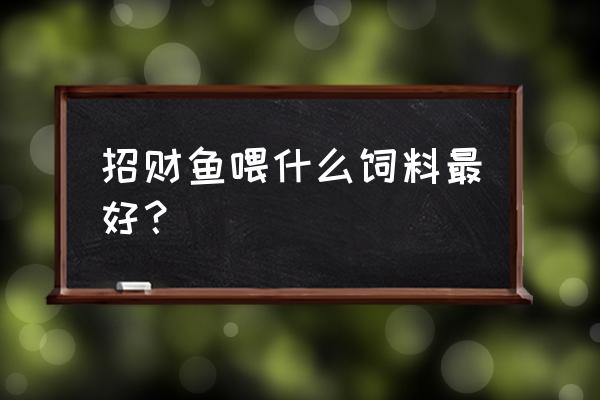 招财鱼常吃罗汉鱼增头饲料会怎样 招财鱼喂什么饲料最好？