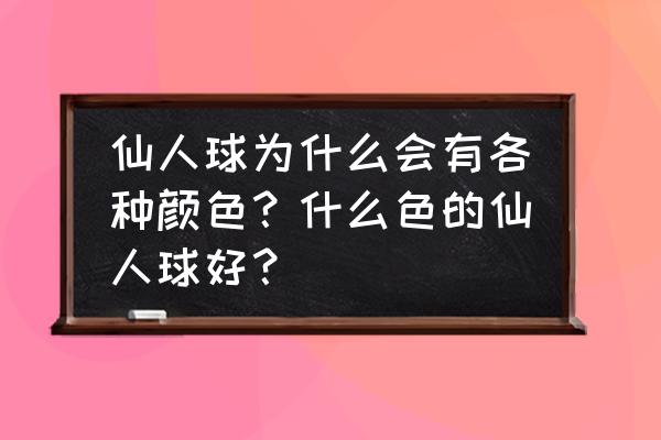 仙人掌彩色一般都是染色吗 仙人球为什么会有各种颜色？什么色的仙人球好？