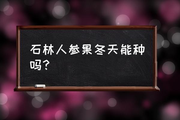 人参果树苗冬天能种植吗 石林人参果冬天能种吗？