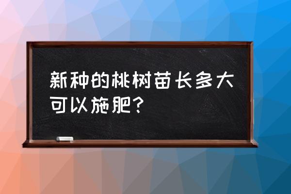 新栽的黄桃树苗多久可以施肥 新种的桃树苗长多大可以施肥？