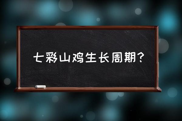 高邮有七彩山鸡养殖场吗 七彩山鸡生长周期？