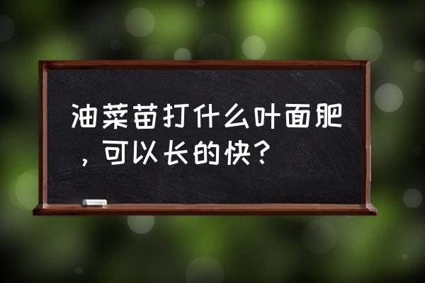 怎样施用叶面肥可以高产 油菜苗打什么叶面肥，可以长的快？