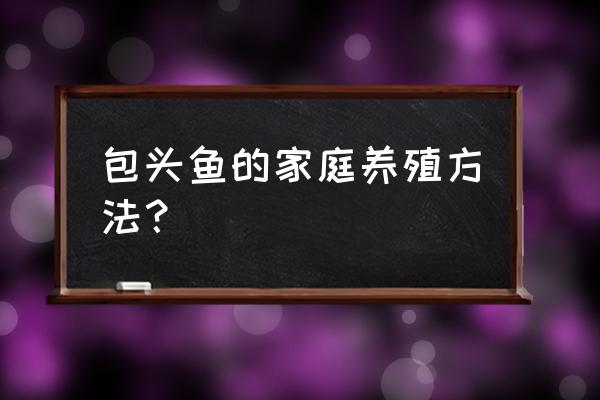 养包头鱼用什么饲料好 包头鱼的家庭养殖方法？