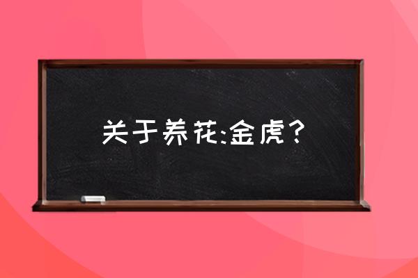 金虎仙人球招财吗 关于养花:金虎？