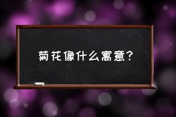 鳞托菊花代表什么象 菊花像什么寓意？