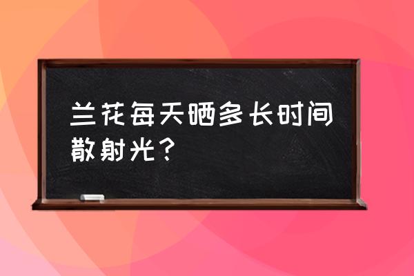 兰花能否晒太阳 兰花每天晒多长时间散射光？