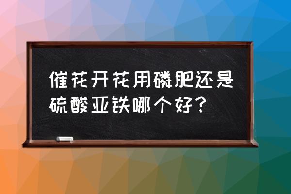 想让植物开花用哪种磷肥 催花开花用磷肥还是硫酸亚铁哪个好？