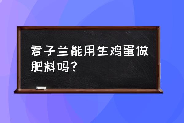 怎样自制君子兰花肥 君子兰能用生鸡蛋做肥料吗？