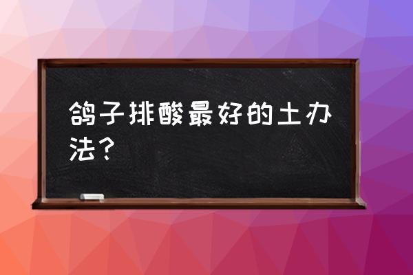 饲料那几种能够帮鸽子排乳酸呢 鸽子排酸最好的土办法？