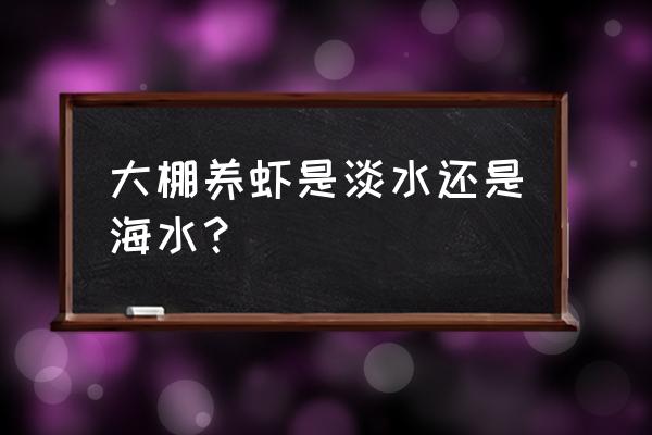 工厂化养虾是什么水 大棚养虾是淡水还是海水？