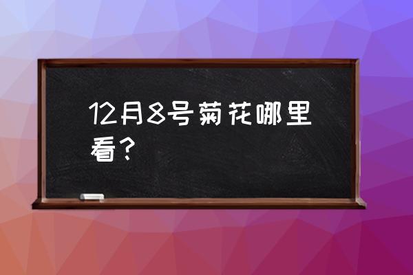 菊花一般盛开在哪里 12月8号菊花哪里看？