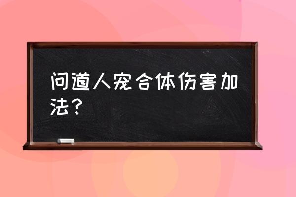 问道人宠合体属性怎么计算 问道人宠合体伤害加法？