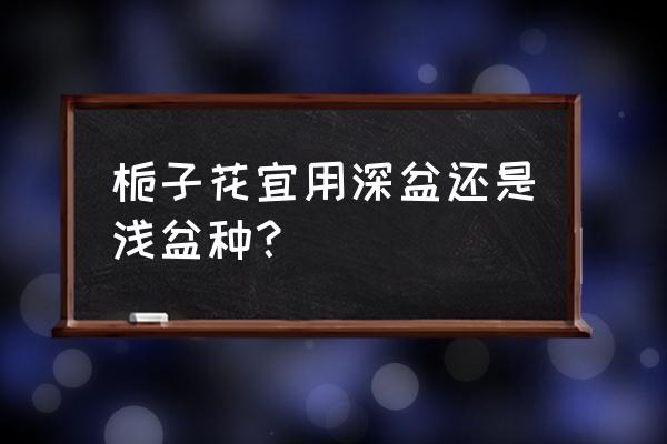 栀子花用什么颜色花盆 栀子花宜用深盆还是浅盆种？