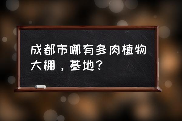 哪里能学多肉大棚的养殖技术 成都市哪有多肉植物大棚，基地？