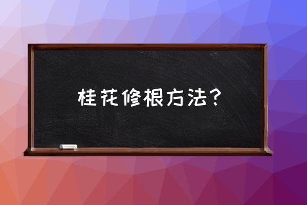 桂花盆景怎样提根 桂花修根方法？