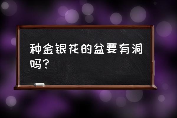 种金银花用多大的花盆 种金银花的盆要有洞吗？