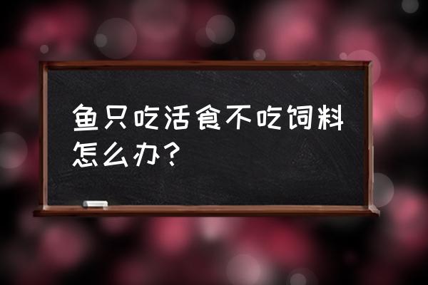 只吃水蚤不吃饲料怎么办 鱼只吃活食不吃饲料怎么办？