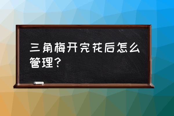 三角梅花落了怎么修剪 三角梅开完花后怎么管理？