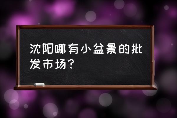 沈阳市各种花盆批发在什么地方 沈阳哪有小盆景的批发市场？