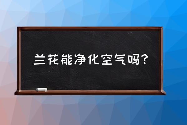 相心兰花净化空气吗 兰花能净化空气吗？