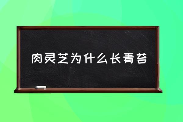 灵芝像木头一样吗 肉灵芝为什么长青苔