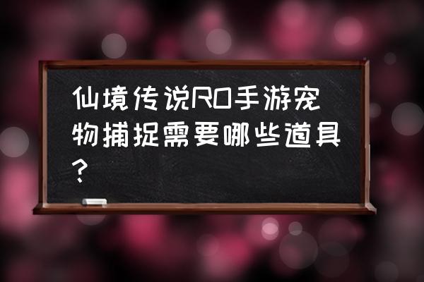 仙境传说手游小野猪在哪抓 仙境传说RO手游宠物捕捉需要哪些道具？