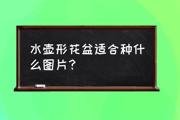 船型花盆放哪种花好看 水壶形花盆适合种什么图片？