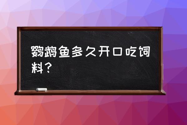 鹦鹉鱼外寄了吃饲料吗 鹦鹉鱼多久开口吃饲料？