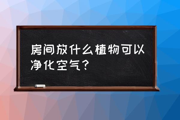 室内种什么植物可以净化空气 房间放什么植物可以净化空气？