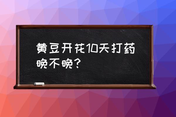 黄豆花期打除草剂受影响吗 黄豆开花10天打药晚不晚？