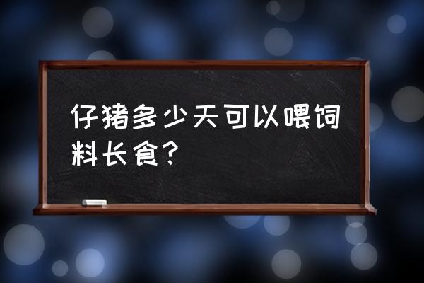 乳猪几天开始喂饲料 仔猪多少天可以喂饲料长食？