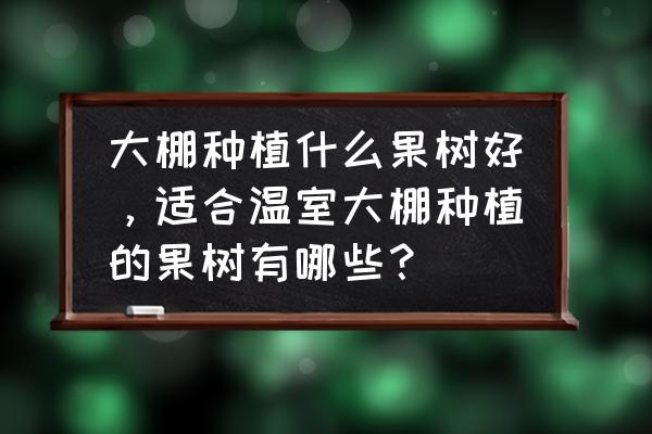 大棚果树有哪些 大棚种植什么果树好，适合温室大棚种植的果树有哪些？