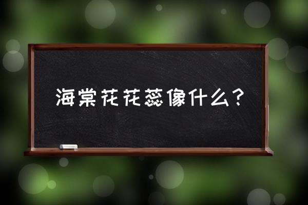 海棠花的花骨朵像什么 海棠花花蕊像什么？