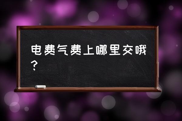 水电费燃气费到哪交钱 电费气费上哪里交哦？