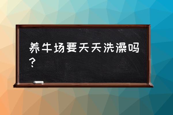 原牛养牛多长时间洗 养牛场要天天洗澡吗？