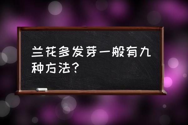 怎样促使兰花发新芽 兰花多发芽一般有九种方法？