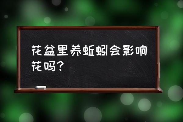 为什么我把蚯蚓放在家里小花盆中 花盆里养蚯蚓会影响花吗？