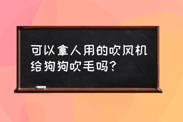 人用吹风机宠物能用吗 可以拿人用的吹风机给狗狗吹毛吗？