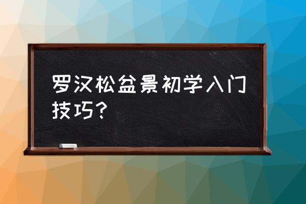 罗汉松怎样做老桩盆景 罗汉松盆景初学入门技巧？