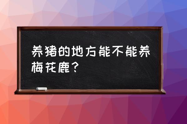 为什么养猪不养鹿 养猪的地方能不能养梅花鹿？