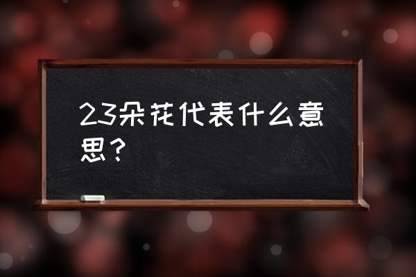 23朵玫瑰花花语代表什么 23朵花代表什么意思？