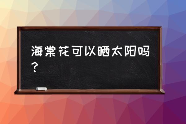 求教海棠能晒太阳吗 海棠花可以晒太阳吗？