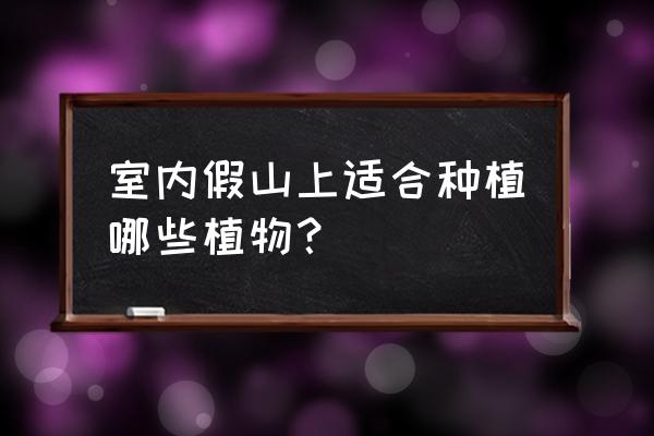 室内假山适应种植地柏吗 室内假山上适合种植哪些植物？